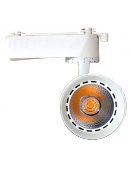 DRISHYAA 10 Watt Led Track Light.